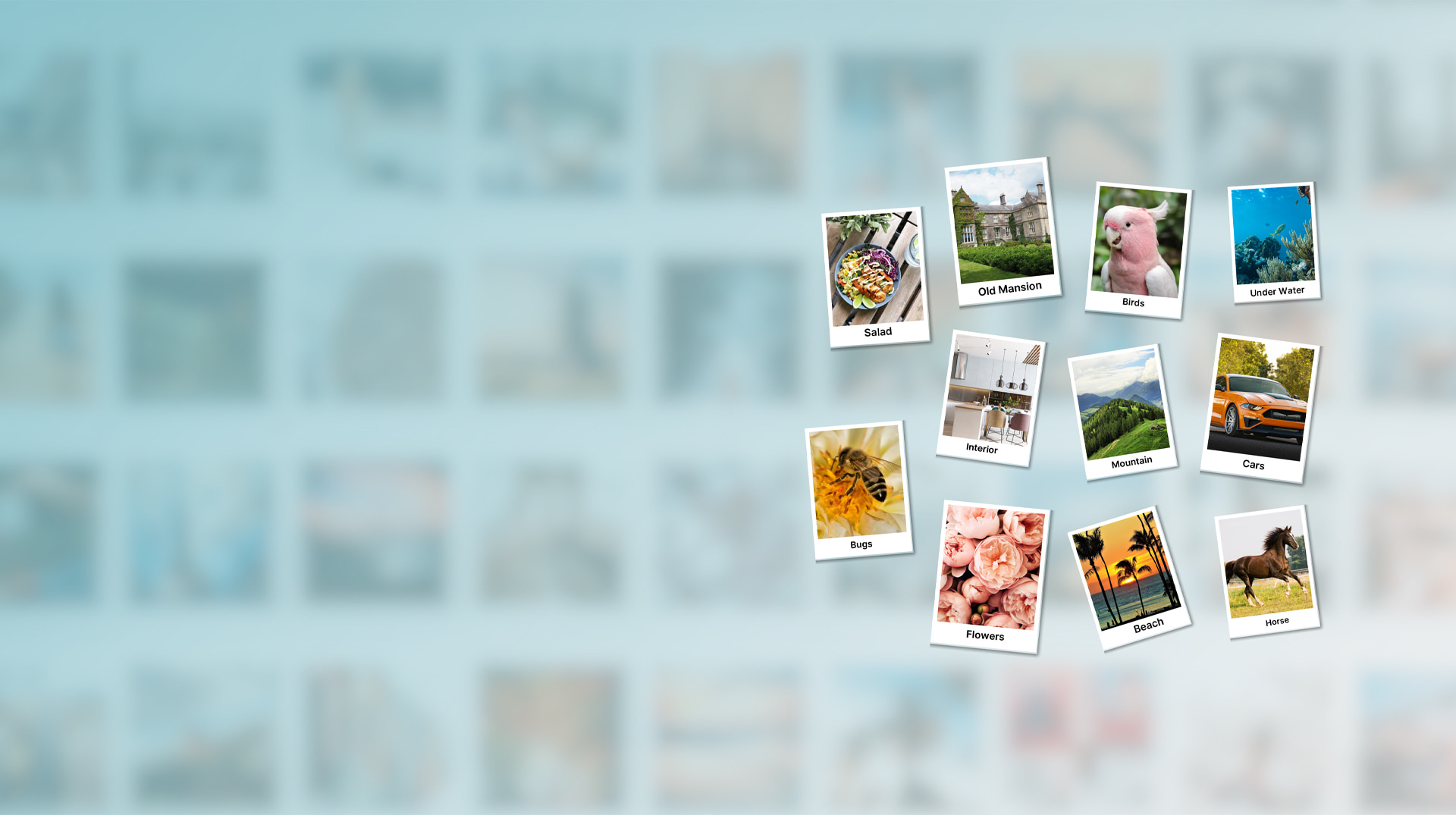 Full-width Image